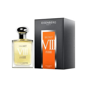 Eisenberg Secret VIII De Lumiere Et D Ombre