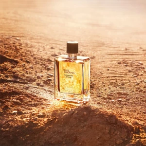 Hermes Terre D'Hermes Eau Intense Vetiver