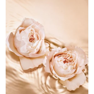 Jimmy Choo Tempting Rose