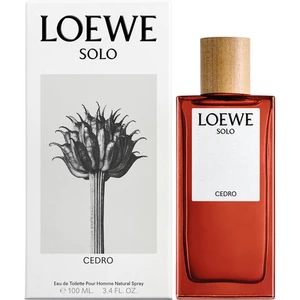 Loewe Solo Cedro