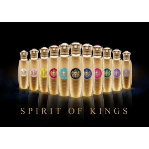 Spirit Of Kings Errai