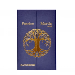 Patrice Martin Ganymedes